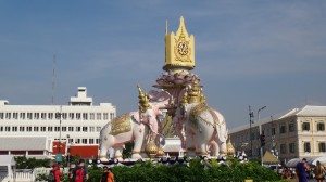 Elefanten auf der Strasse (Kreisel)