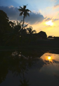 Baan Lotus Guest House