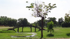 Natur in der Grossstadt Ayutthaya