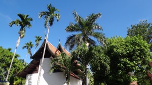 Wat Umongmahatherachan