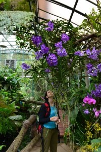 Orchideen - Gärten des Phra Tamnak Bhu Bhing