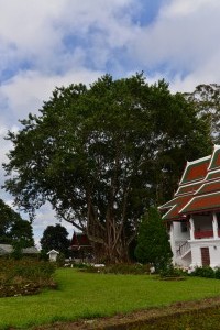 Gärten des Phra Tamnak Bhu Bhing