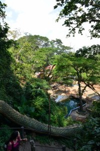 Monkey Cave - Treppe zur Höhle