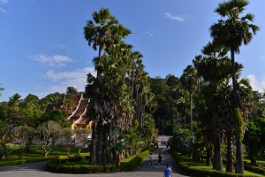 Die Palmenallee vor dem Königspalast