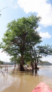 Schöne Stimmung auf dem Mekong